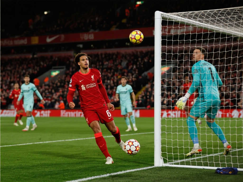 日耳曼鞏固 日耳曼鞏固